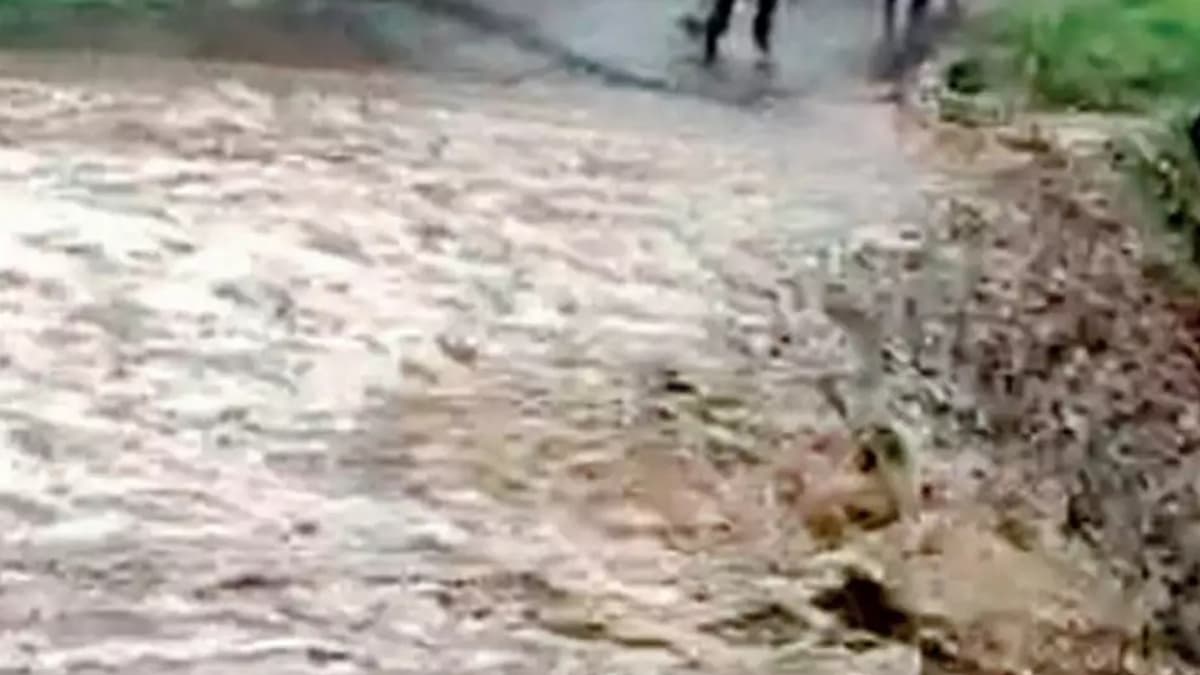 Sikkim Flash Floods: হড়পা বানে ভেসে গেল রাস্তা, অস্থায়ী সেতু বানিয়ে উত্তর সিকিমে আটকে পড়া পর্যটকদের উদ্ধার, দেখুন ভিডিয়ো