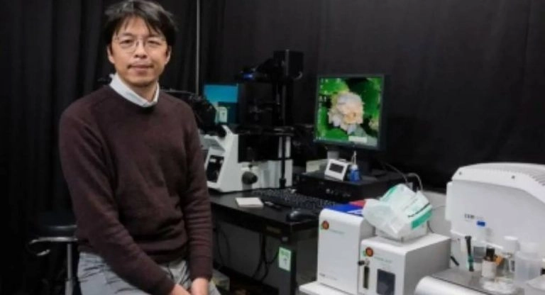 Japan Lab Babies: এবার ল্যাবেই সন্তান তৈরি করে ফেলবে জাপান, অপেক্ষা আর বছর পাঁচেকের