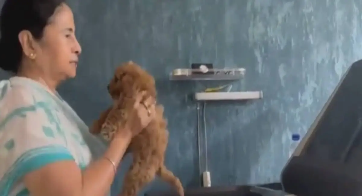 Mamata Banerjee Viral Video: শাড়ি পরে পোষ্য মিলোকে নিয়ে ট্রেডমিলে হাঁটছেন মুখ্যমন্ত্রী মমতা বন্দ্যোপাধ্যায়, দেখুন ভিডিয়ো