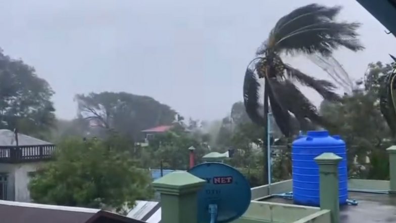 Cyclone Mocha: বাংলাদেশের কক্সবাজারে কীভাবে তাণ্ডব চালাল মোকা, দেখুন ভিডিয়ো