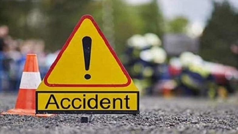 Andhra Pradesh Road Accident: সজোরে গাড়ির ধাক্কায় জ্বলে উঠল অটো, আগুনে পুড়ে মৃত্যু ৩ যাত্রীর