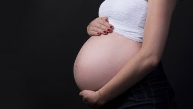 Heatstroke Kills Pregnant Woman: গ্রীষ্মের দাবদাহে হিটস্ট্রোকে মৃত্যু নয় মাসের অন্তঃসত্ত্বা মহিলার