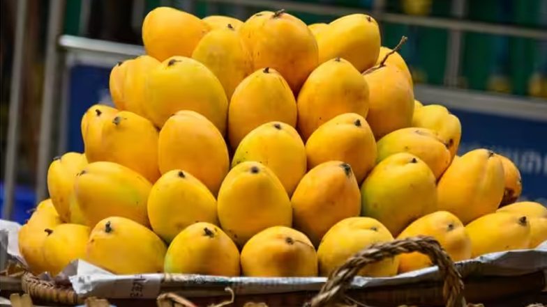 Mango Overeating : আম কি আপনার খুব প্রিয়! বেশি খেলে ঘটতে পারে বিপদ 