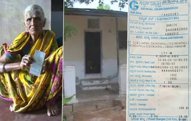 Karnataka: বিদ্যুৎ বিভ্রাট, কুঁড়ে ঘরে এল লাখ টাকার ইলেকট্রিক বিল, তারপর