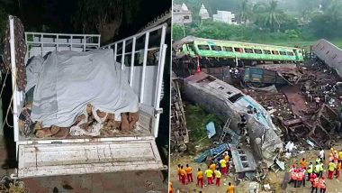 Odisha Train Accident: ক্ষতবিক্ষত, দলা পাকানো দেহ শনাক্ত করতে পারছে না পরিবার, ভরসা DNA পরীক্ষা!