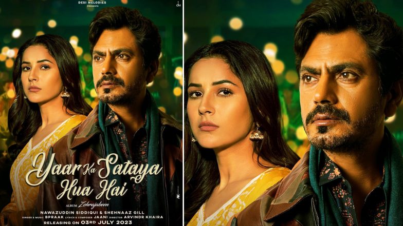 Shehnaaz-Nawazuddin: শেহনাজের সঙ্গে জুটিতে নওয়াজ, বি প্রাকের গলায় নতুন মিউজিক ভিডিয়ো