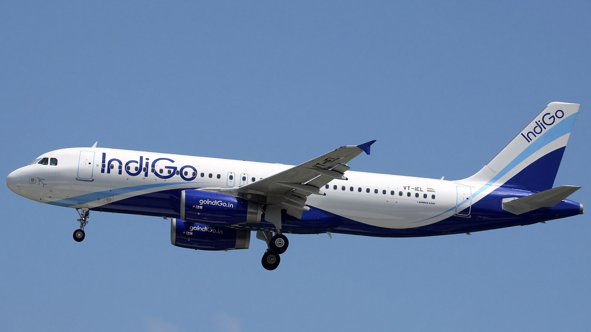 Bird Strike At Nagpur-Kolkata IndiGo Flight: বিমানে পাখির ধাক্কা, নাগপুর-কলকাতার উড়ানে কী হল, চড়ছে জল্পনা