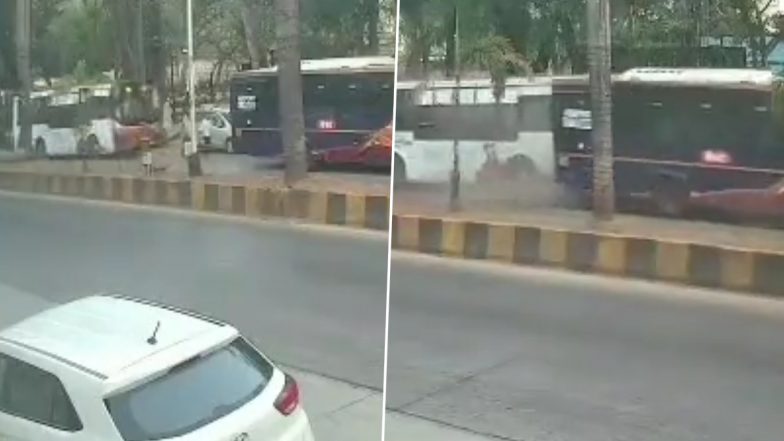 Mumbai Road Accident Video: প্রাতঃভ্রমণে বেরিয়ে দুটি বাসের মধ্যে পিষে মৃত ব্যক্তি, মর্মান্তিক ভিডিয়ো