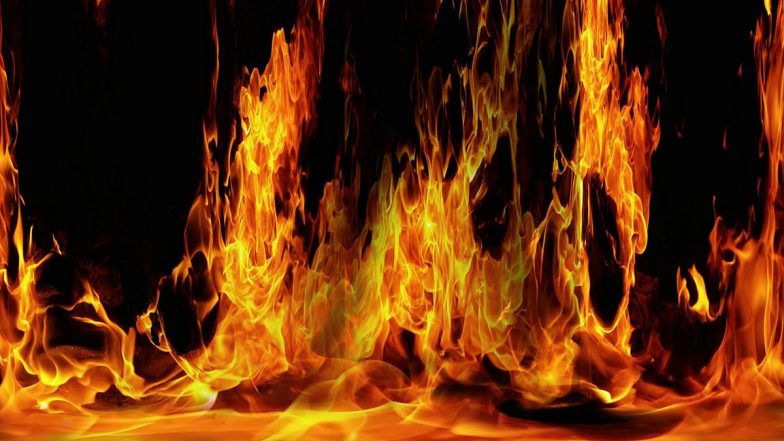 New Jercy Fire : নিউ জার্সিতে আবাসিক বিল্ডিংয়ে আগুন, সুরক্ষিত ভারতীয় ছাত্ররা