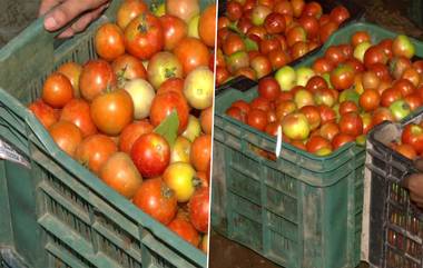 Tomatoes Price: স্মার্টফোন কিনলে অফারে টমেটো মিলছে বিনামূল্য, দোকানের সামনে লম্বা লাইন