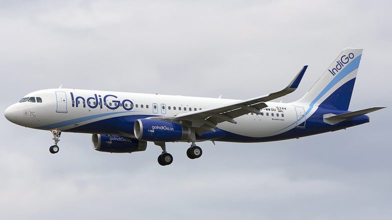 IndiGo Flight In Pakistan: খারাপ আবহাওয়ার জেরে পাকিস্তানের আকাশসীমায় ঢুকল ভারতের যাত্রীবাহী বিমান, তারপর কী হল!