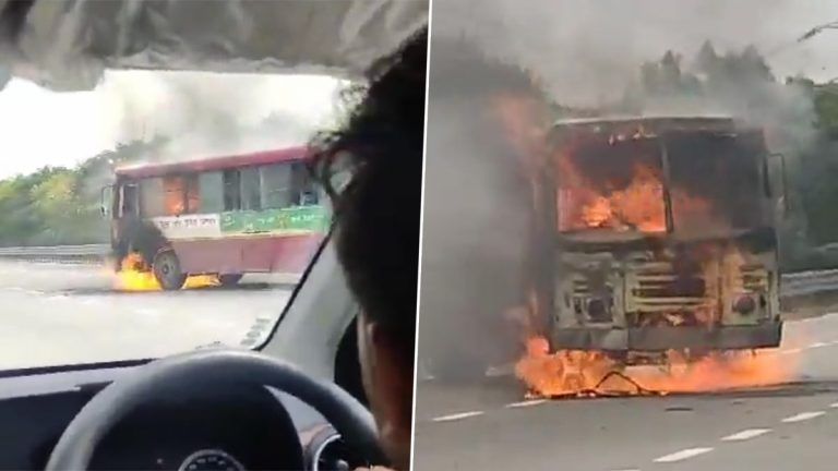 Noida Bus Fire Video: জাতীয় সড়কে দাউ দাউ করে জ্বলছে যাত্রী বোঝাই বাস, দেখুন ভিডিয়ো