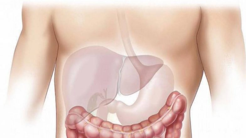 Liver Donation: অসুস্থ ভাইকে লিভার দান করে ফুটবল ফিরল আনশিকা