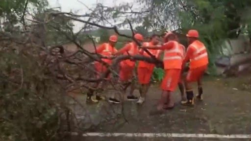 Cyclone Biparjoy: একের পর এক গাছ উপড়ে পড়ল কচ্ছতে, জীবনযাত্রা স্বাভাবিক করতে আপ্রাণ চেষ্টা NDRF-এর