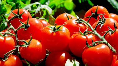 Best Alternatives To Tomato : আকাশ ছোঁয়া টমেটোর দাম, সবজি তৈরিতে ব্যবহার করুন এই জিনিসগুলো!