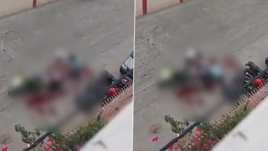 Murder Caught on Camera in Delh: প্রকাশ্য দিবালোকে ব্যক্তিকে কুপিয়ে খুন, রক্তে ভিজল রাজধানীর রাস্তা