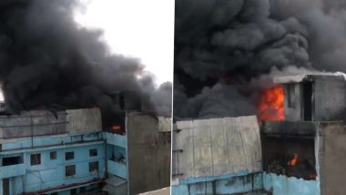 Delhi Fire: জুতোর কারখানায় বিধ্বংসী আগুন, কালো ধোঁয়ায় ঢেকেছে আকাশ