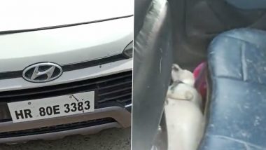 Dog Dies in Locked Car: গাড়ির মধ্যে পোষ্যকে রেখে তাজমহল দর্শন, শ্বাসরোধ হয়ে মৃত্যু