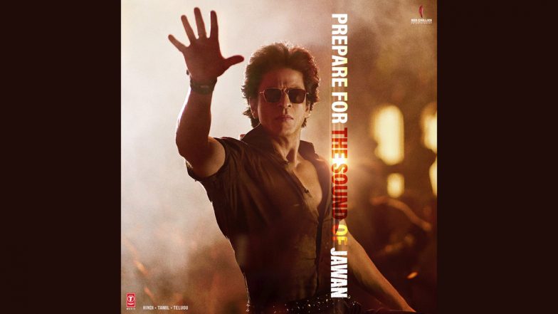 Shah Rukh Khan Jawan: বেহালার অশোক সিনেমা হলের জওয়ানের টিকিটের মালা পড়লেন ভক্ত, জবাবে কী বললেন শাহরুখ খান