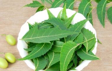 Neem Leaves Benefits : বর্ষায় নিম পাতা খাচ্ছেন তো? জেনে নিন এই পাতার বহুবিধ উপকারিতা