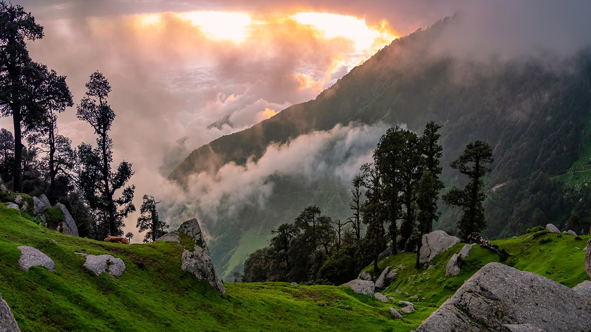 Himachal Offbeat Destinations : হিমাচলের এই জায়গাগুলি ঘুরে আসুন, মন ভরে উঠবে শান্তিতে