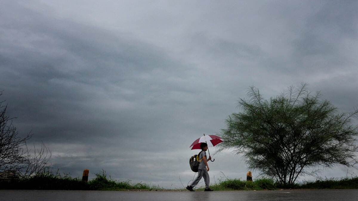 IMD Issue Rain Forecast:  ২৭ মে কেরলে বর্ষা আগমনের সম্ভাবনা, দক্ষিণ ভারতে এখনও চলবে বৃষ্টি জানাল মৌসম ভবন
