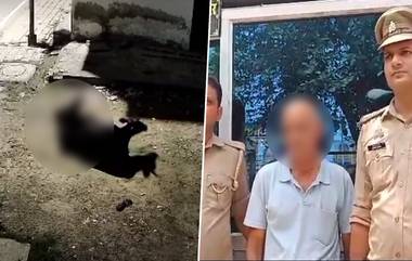 Kanpur Bestiality Video: গরুকে ধর্ষণের চেষ্টা, বিকৃত যৌনতার জেরে গ্রেফতার প্রোঢ়