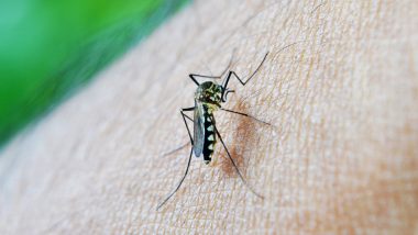 Dengue: বাড়ছে ডেঙ্গুর প্রকোপ, বাংলাদেশে ২৪ ঘণ্টায় আক্রান্ত ৯০০