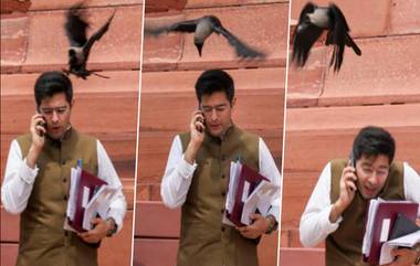 Crow Attack on Raghav Chadha Photos: লোকসভা চত্বরে কাকের আক্রমণ, আক্রান্ত আপ সাংসদ রাঘব চাড্ডার বেসামাল ছবি ভাইরাল সোশ্যাল মিডিয়ায় (দেখুন ছবি)