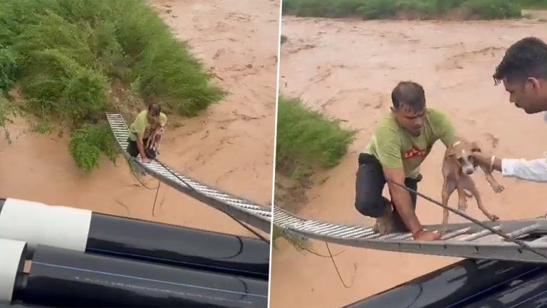 Viral Video: জলস্তর বেড়ে যাচ্ছে, তারই মাঝে প্রাণের ঝুঁকি নিয়ে কুকুরছানাকে বাঁচালেন দমকল কর্মী (দেখুন ভিডিও)