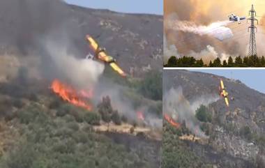 Greece Firefighting Plane Crashes Video: দাবানল নেভাতে গিয়ে ভেঙে পড়ল বিমান, দেখুন ভিডিয়ো