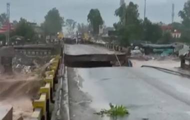 Rain Fury In Himachal Pradesh: ভয়াবহ বৃষ্টিতে হিমাচলে ভেঙে পড়ল সেতু, দেখুন ভিডিয়ো