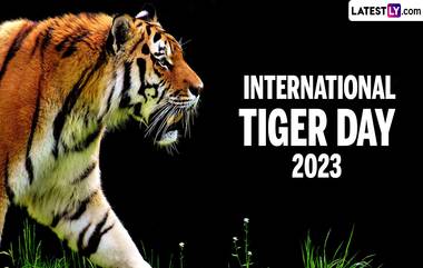 International Tiger Day 2023 Wishes: আজ ২৯ জুলাই আন্তর্জাতিক ব্যাঘ্র দিবস, পৃথিবীজুড়ে বাঘ সংরক্ষণ নিয়ে সচেতনতা বৃদ্ধি করতে শেয়ার করুন লেটেস্টলি বাংলার এই শুভেচ্ছা বার্তা