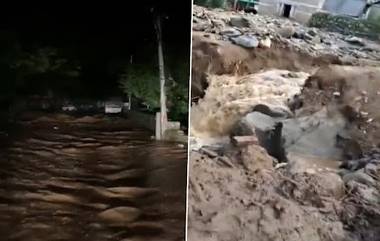 Rain Fury In Manali: একটানা বৃষ্টির জের, মানালিতে হঠাৎ বন্যা, দেখুন সেই ভিডিয়ো