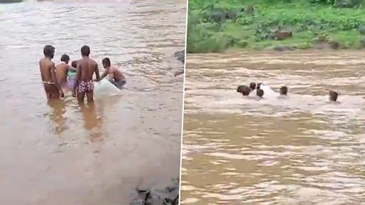 Video: বৃষ্টিতে নদী পেরিয়ে অন্তঃসত্ত্বা মহিলাকে নেওয়া হল হাসপাতালে, হৃদয়বিদারক ভিডিয়ো