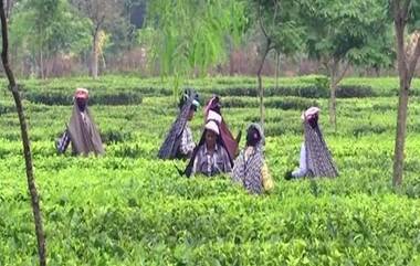 Rian In North Bengal: উত্তরবঙ্গে এক নাগাড়ে বৃষ্টি, জল বাড়ছে একাধিক নদীতে