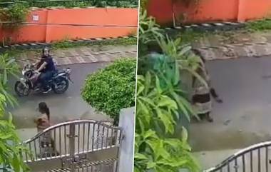 UP Video:  ফুল তুলতে গিয়ে মহিলার গলা থেকে হার ছিনতাই দুষ্কৃতীর, দেখুন ভিডিয়ো