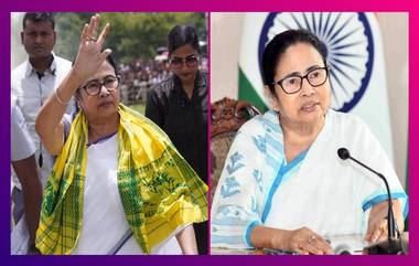 Mamata Banerjee এর বাড়ির গলিতে ঢোকার চেষ্টা, অস্ত্র-সহ গ্রেফতার যুবক