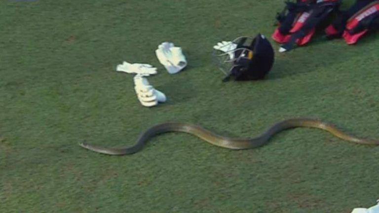 Snake In LPL: লঙ্কা লিগে এবার ফিল্ডারের দিকে তেড়ে গেল সাপ, রে রে করে উঠলেন ধারাভাষ্যকার, দেখুন ভিডিয়ো