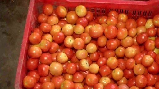 Tomato Price Hike: 'পেট্রোলের চেয়েও দামি', টমেটো বিক্রি হচ্ছে ১৬০ টাকা কেজি দরে