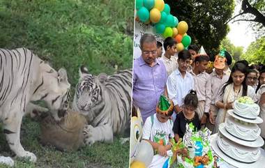 White Tigress Sita's Twin Cubs Birthday: দিল্লি চিড়িয়াখানায় সাদা যমজ ব্যাঘ্র শাবকের প্রথম জন্মদিন উদযাপন, দেখুন ছবি