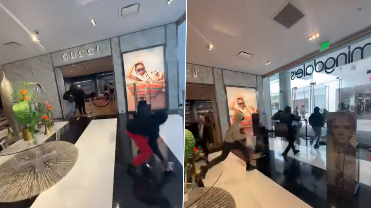Robbers Attack Gucci Store: লস এঞ্জেলসের একটি মলের গুচি স্টোরে ডাকাতদলের হানা, দেখুন ভিডিও