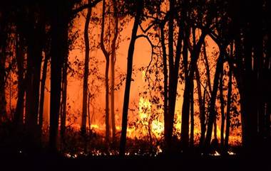 Chile Fire : ভয়াবহ দাবানলে চিলিতে মৃত্যুর সংখ্যা বেড়ে ৯৯