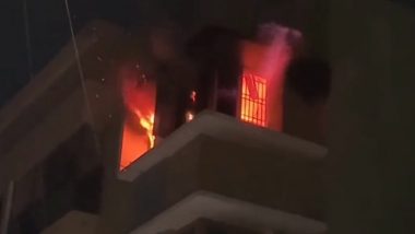 Chennai Fire: চেন্নাইয়ের বহুতল আবাসনে দাউদাউ করে জ্বলছে আগুন, দেখুন ভিডিয়ো