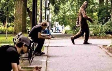 Big Foot Viral Video: মার্কিন জঙ্গলে বিগ-ফুট! দেখুন ভাইরাল ভিডিও