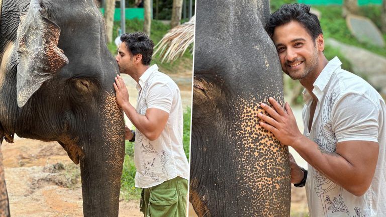 Yash Dasgupta: হাতির শুঁড়ে চুম্বন যশের, প্রশংসায় ভাসলেন ইয়ারিয়া ২ অভিনেতা