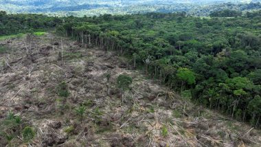 Amazon Deforestation: ব্রাজিলের আমাজনে জুলাই মাসে বৃক্ষ উচ্ছেদের পরিমাণ কমেছে ৬৬ শতাংশ