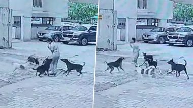 Ghaziabad Dog Attack Video: পথকুকুরদের কবলে কিশোর, ডেলিভরি বয়ের সহায়তায় প্রাণরক্ষা