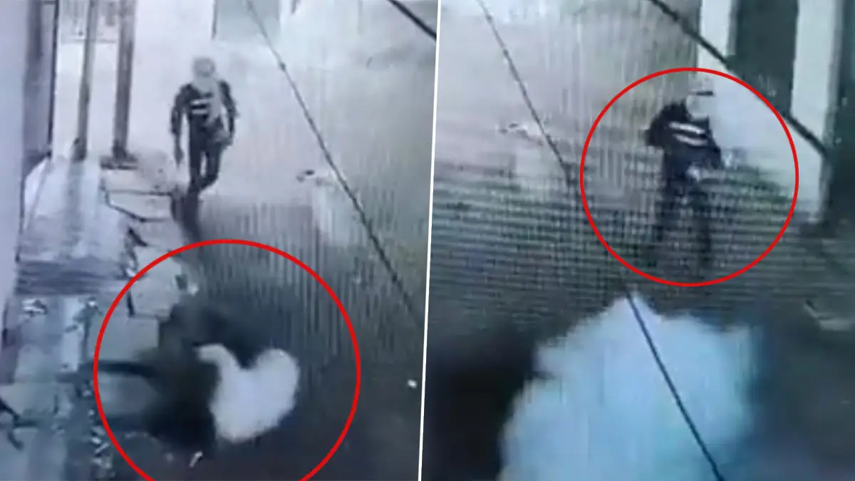 Prayagraj Bombing: প্রয়াগরাজে প্রকাশ্য রাস্তায় যুবককে লক্ষ্য করে বোমা দুষ্কৃতীদের, ভয়াবহ ভিডিয়ো