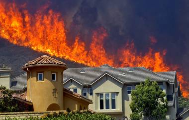 Portugal Fires: প্রবল গরম থেকে পর্তুগালের বিভিন্ন জায়গায় অগ্নিকাণ্ড, দেড় লক্ষাধিক মানুষকে সরানো হল, দেখুন ভিডিয়ো